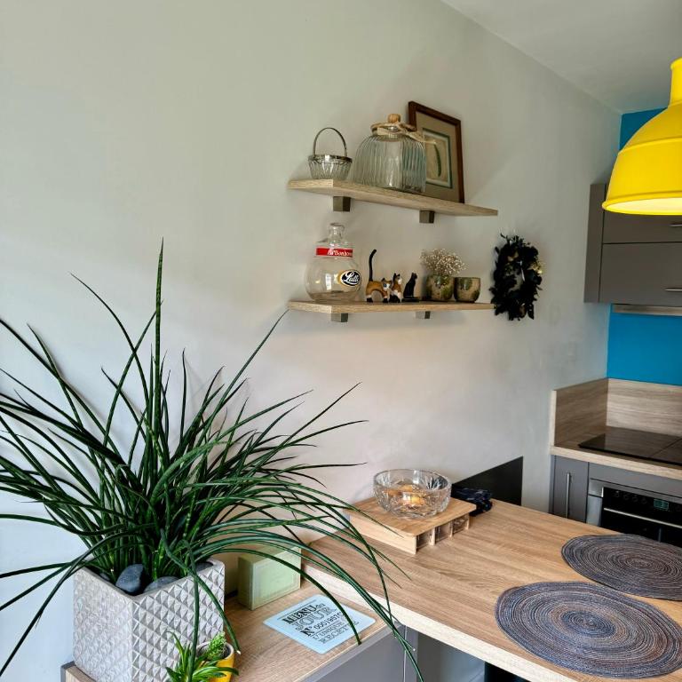 Studio 2 adultes 2 enfants parcs Disneyland Paris - Appartamento con 1 Camera da Letto - 22