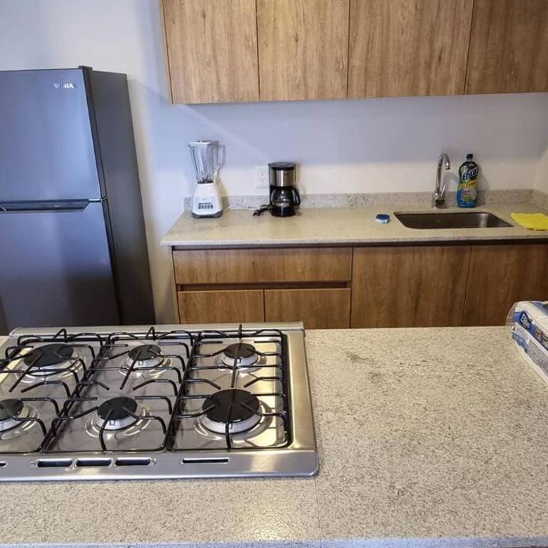 Hermoso departamento cerca del Auditorio Telmex - Apartamento de 2 dormitorios - 7