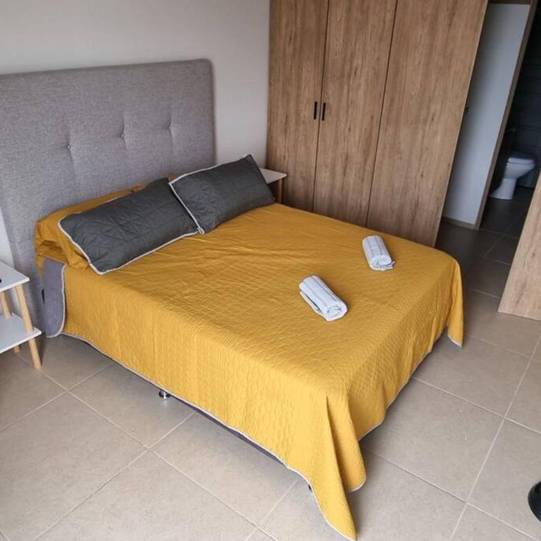 Hermoso departamento cerca del Auditorio Telmex - Apartamento de 2 dormitorios - 10