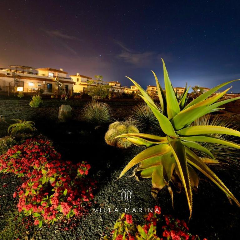 Casa Marina - One-Bedroom Apartment with shared Pool - 21