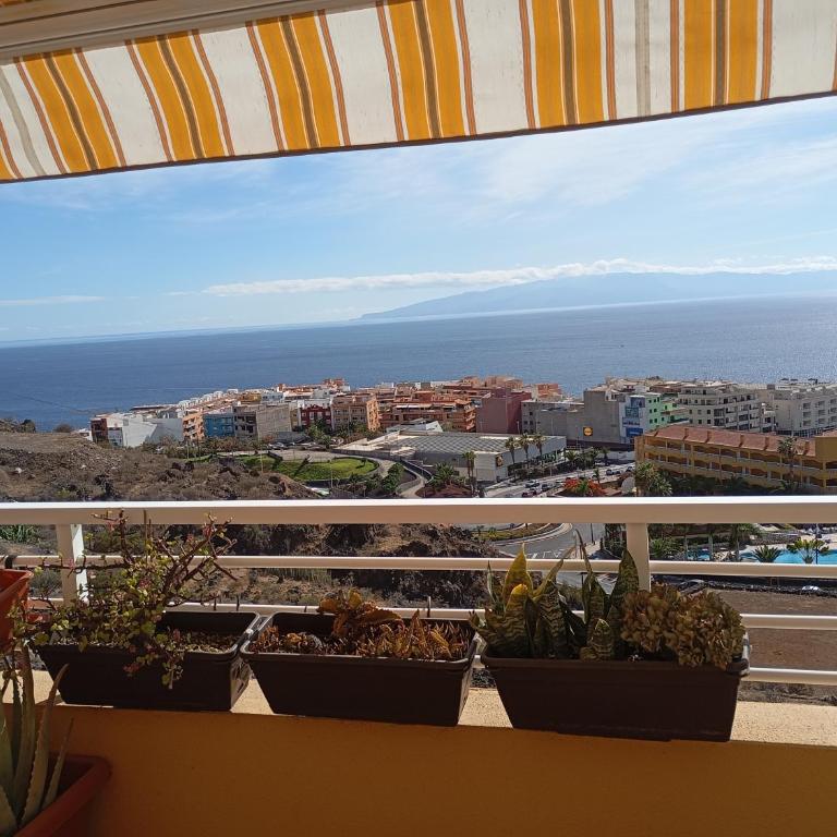 Apto Magec - One-Bedroom Apartment - 5