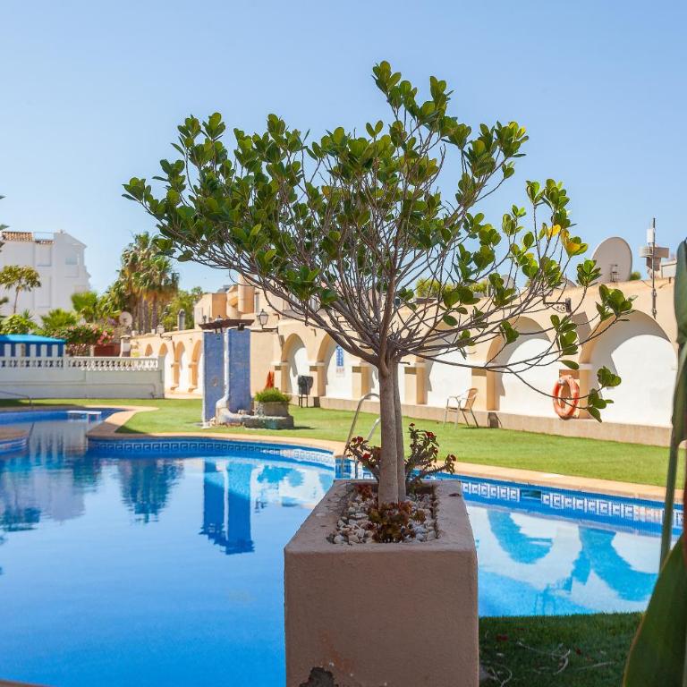 Soleil - Los Hibiscus - One-Bedroom Apartment - 19