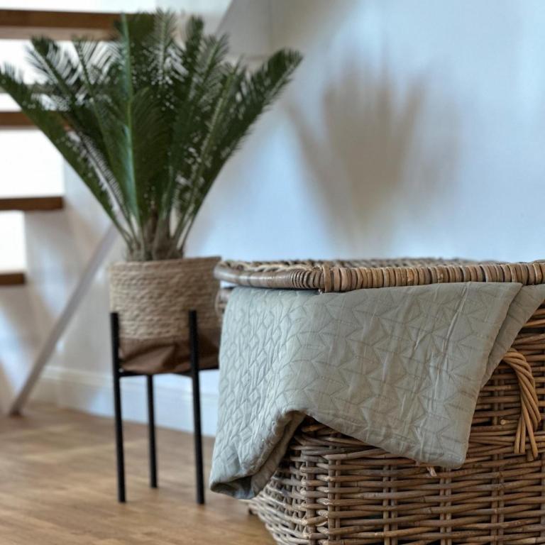 TRULY - Viel Platz für Business & Familie - Modern, Garage, Fahrstuhl - Appartement 3 Chambres - 25