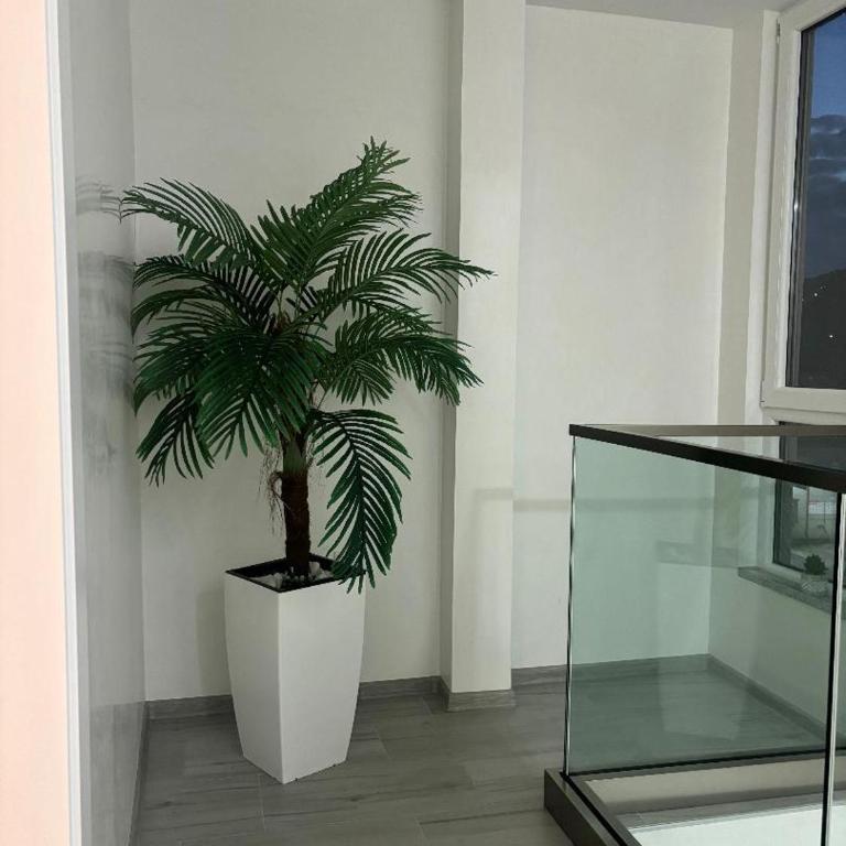Maja Apartmani - Apartman sa 2 Spavaće Sobe - 12
