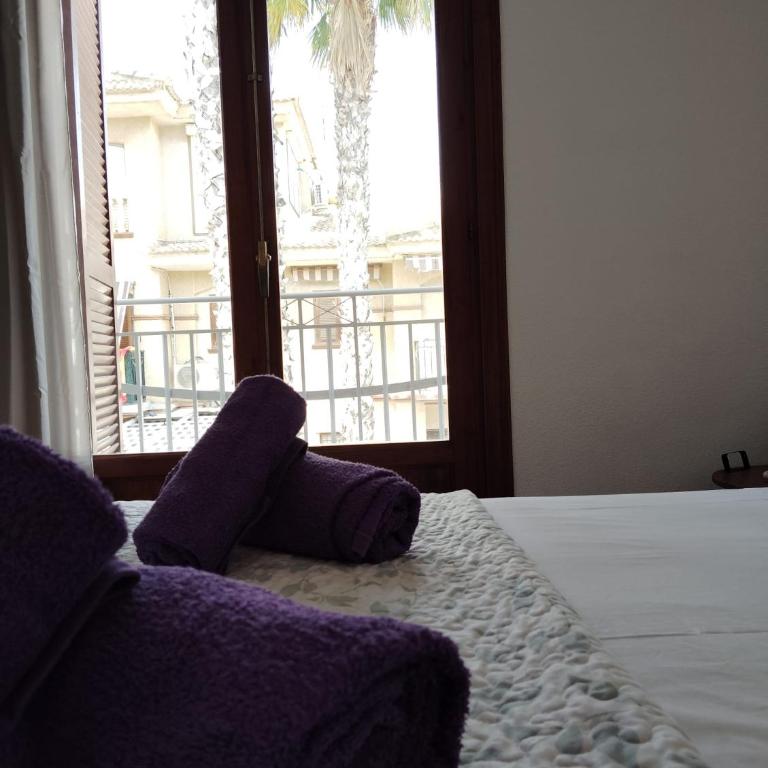 Casa Playa Lisa - Apartamento de 1 dormitorio - 34