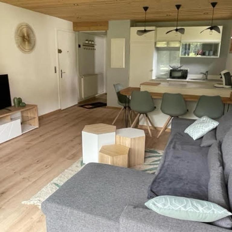 Charmant appartement 2 adultes/2 enfants, proche navette, Grand-Bornand - FR-1-467-126 - Apartment - 4