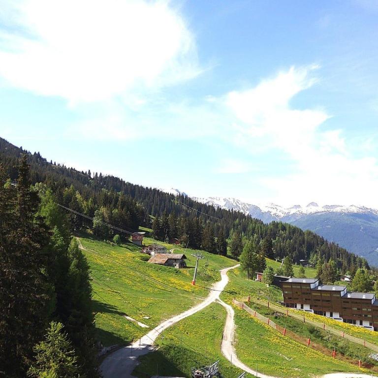 Arc 1600: Appartement 3 pièces, 8 personnes, piscine, parking - FR-1-411-941 - Apartment - 3