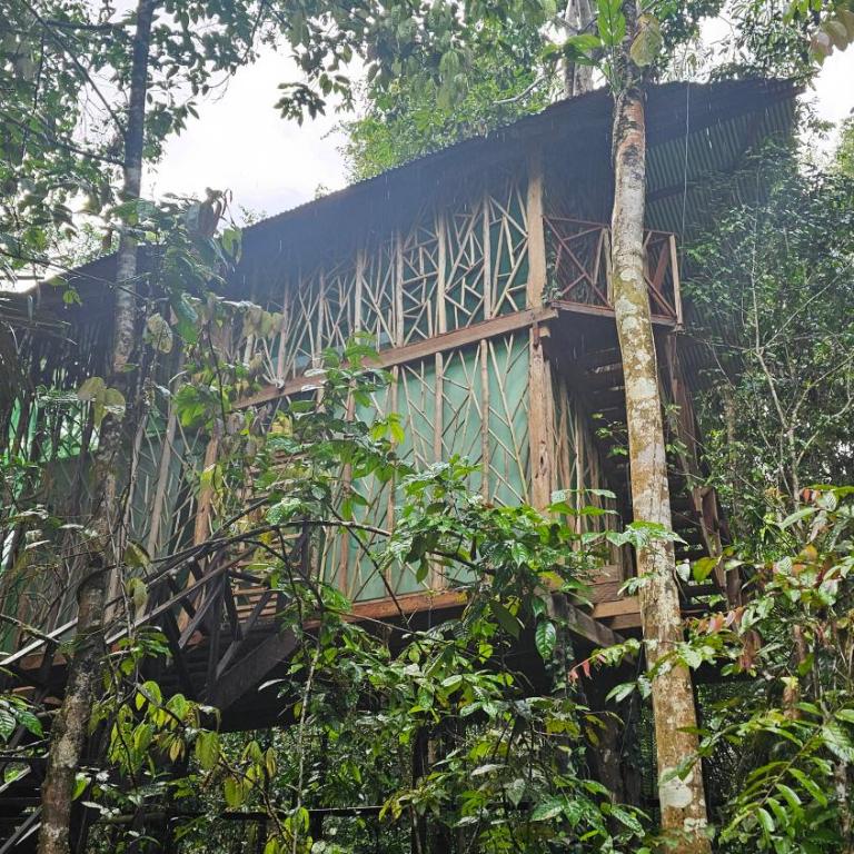 Cabaña en el arbol del Tacana - Apartamento de 2 dormitorios - 1