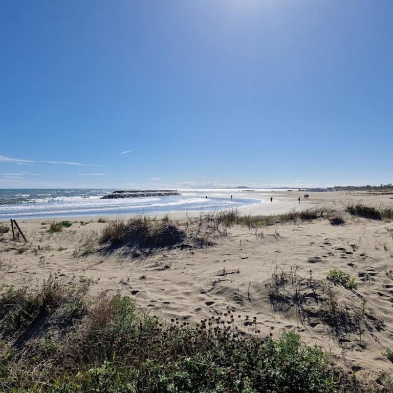 Le Grand Large T2 climatisé à 200 m plage, parking - Apartamento de 1 dormitorio - 22