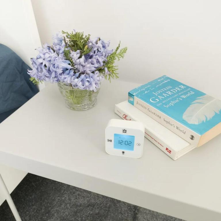 3 Steps from Center - Apartman sa 1 Spavaćom Sobom - 5