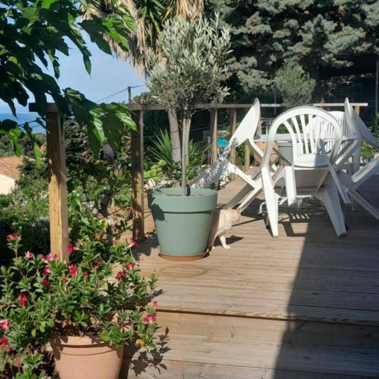 F3 RDC villa vue mer 180 face à la pointe de Giens - Appartement 1 Chambre - 3