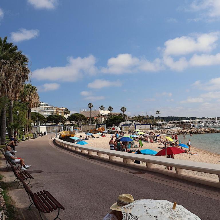 Appartement L'Etang Cannes Pointe Croisette - Appartement - 26
