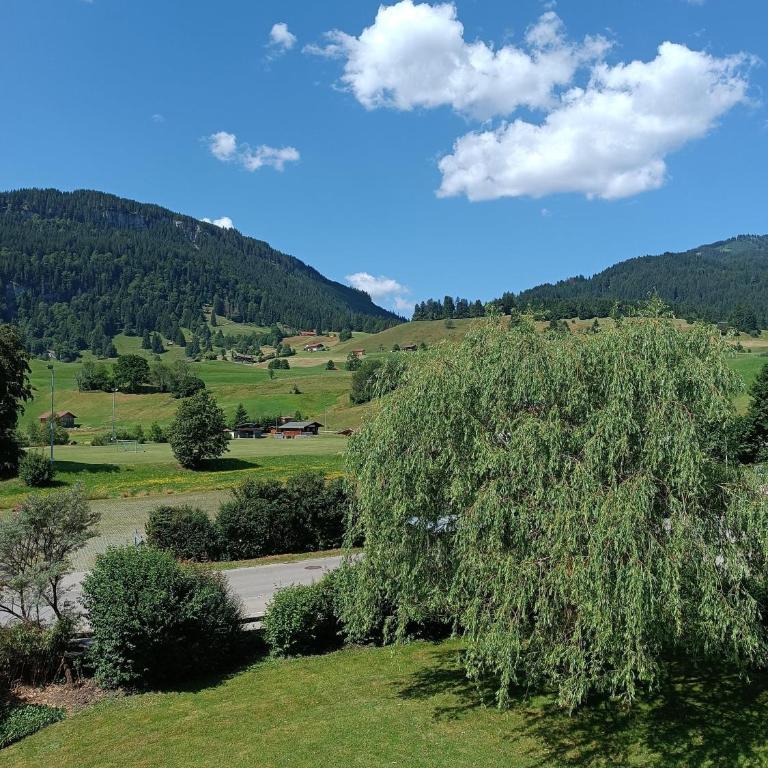 Haus Alpenland/Schneider - Appartamento con 2 Camere da Letto - 14