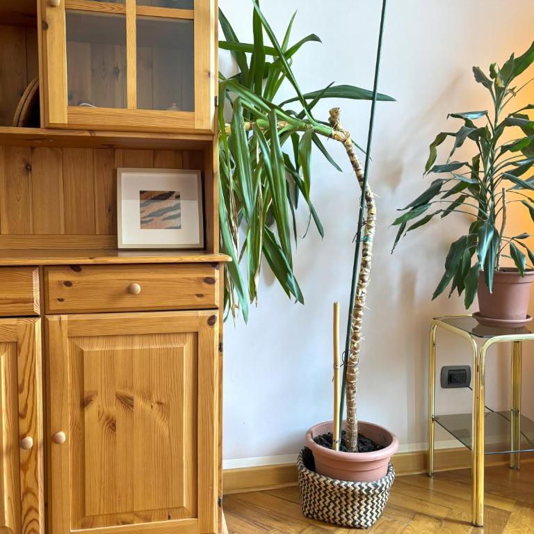 Flat Belpoggio 13 - Appartamento con 2 Camere da Letto - 10