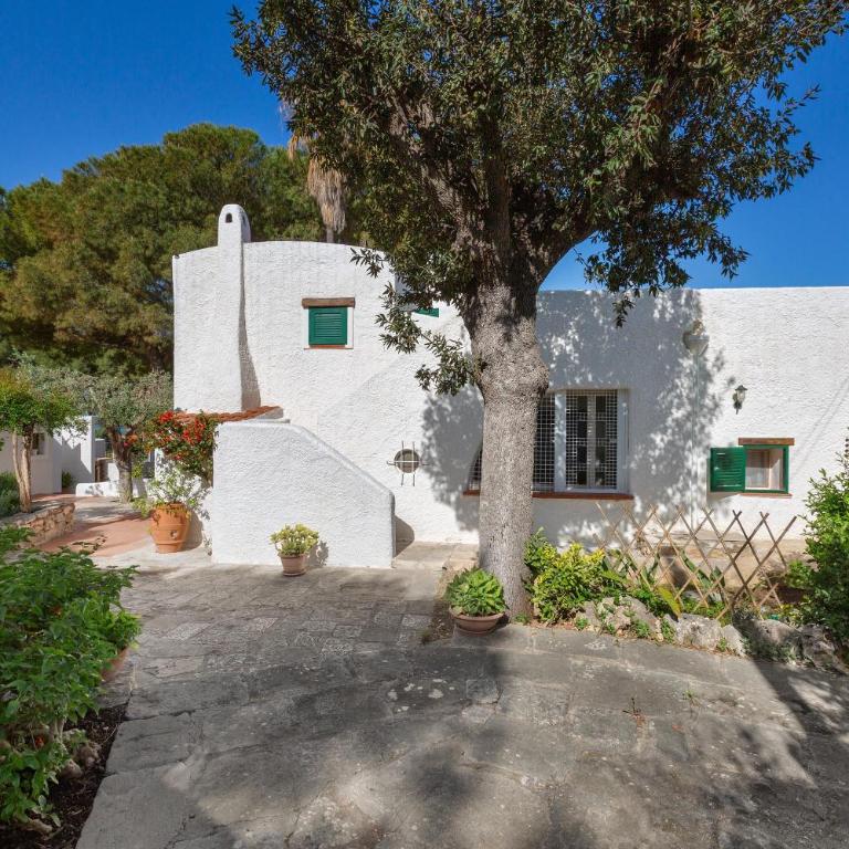Villa Greca by BarbarHouse - Four-Bedroom House - 5