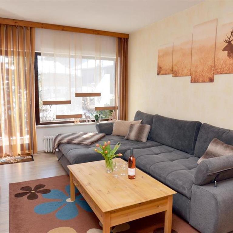 Haus Alpenland/Schneider - Appartamento Comfort - 2
