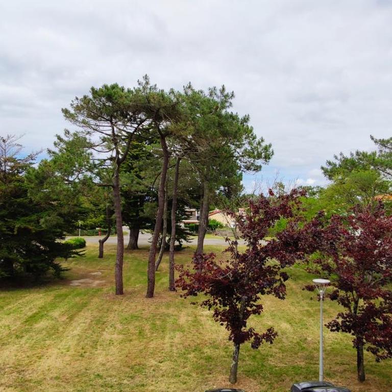Studio VK Ocean - Appartement 1 Chambre - 4
