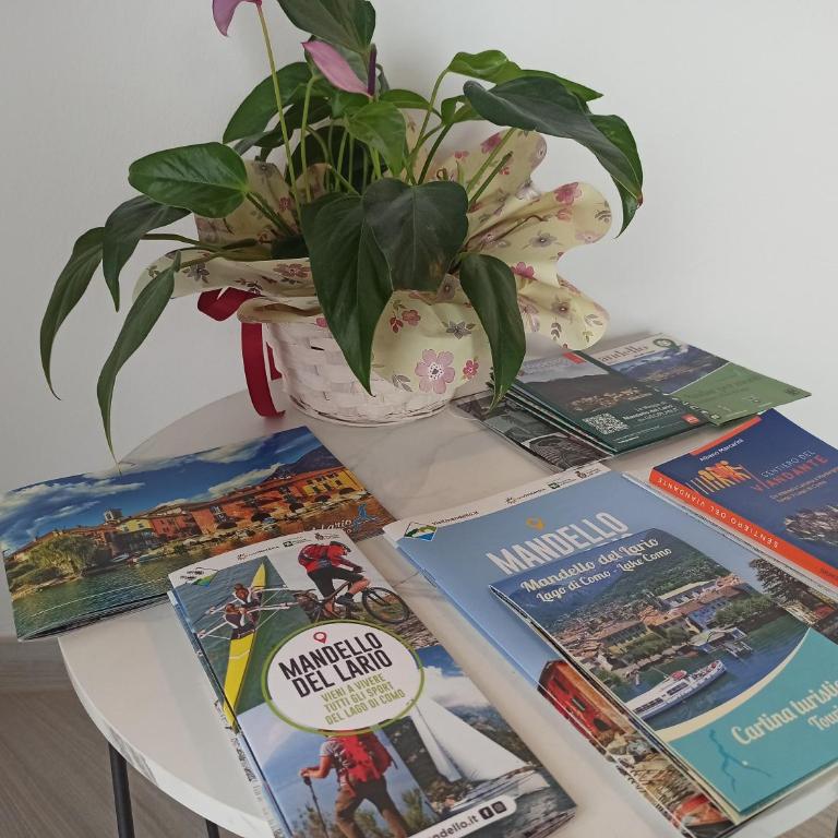 Larius Apartment - Como Lake View - Free Parking - Appartamento con 1 Camera da Letto - 12