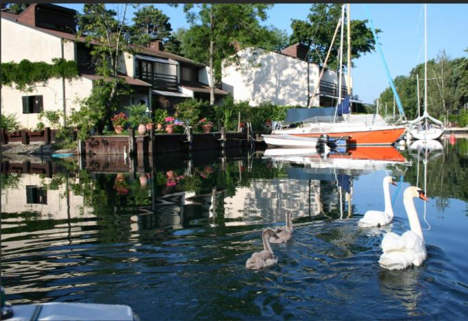 Le bonheur les pieds dans l'eau - Villa 2 Chambres - 31