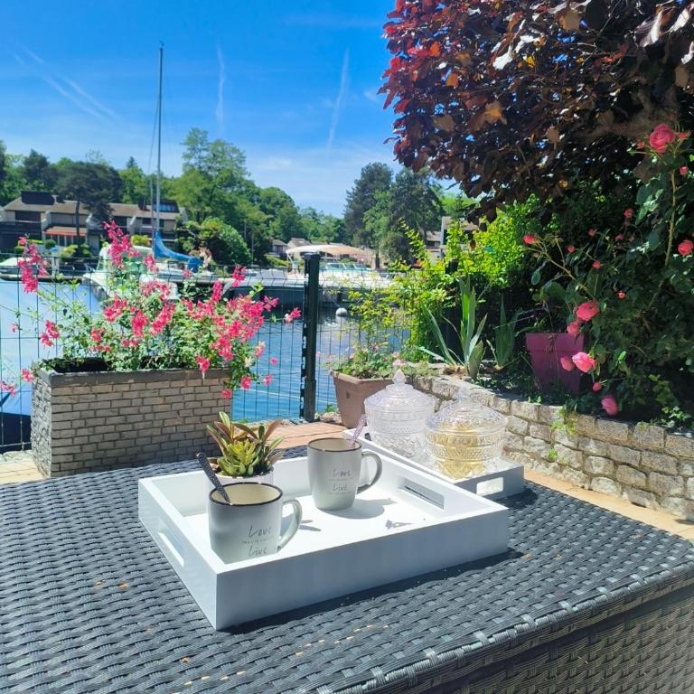 Le bonheur les pieds dans l'eau - Villa 2 Chambres - 20