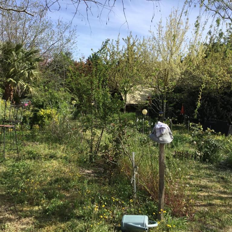 La fricassée - Bungalow - 2