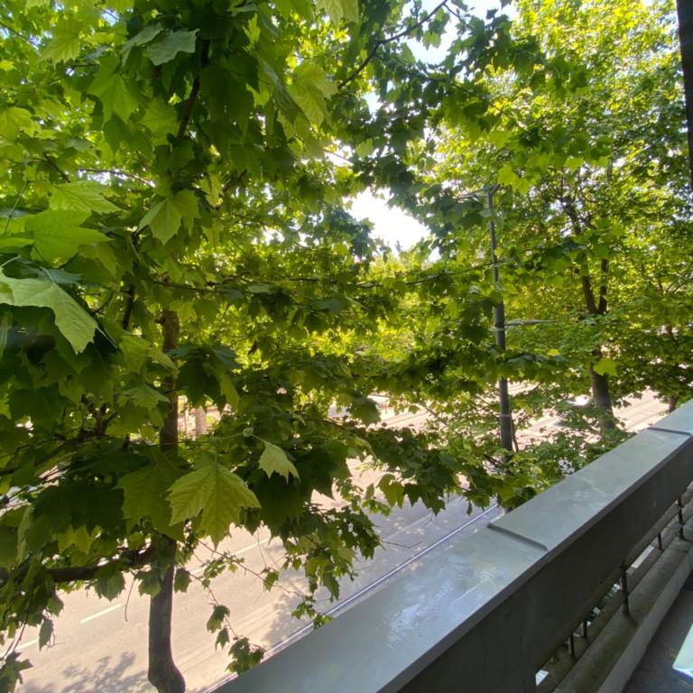 Apartment Washington - Apartman sa 1 Spavaćom Sobom - 8