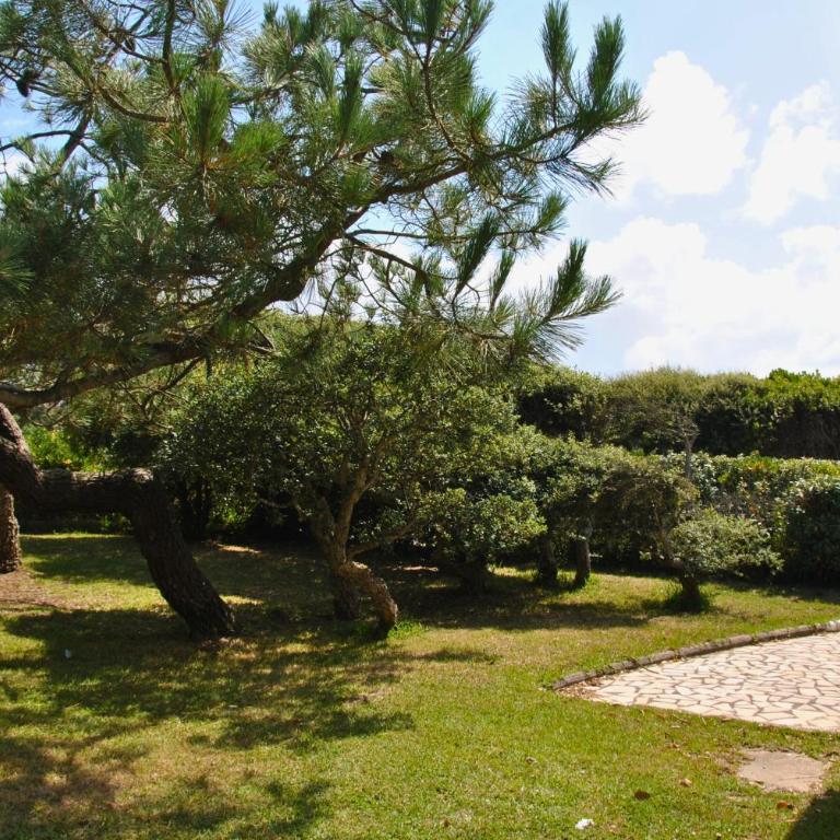 DUNES - Villa Patio Avec Jardin - proche Plage de la Gravière - Maison 3 Chambres - 9