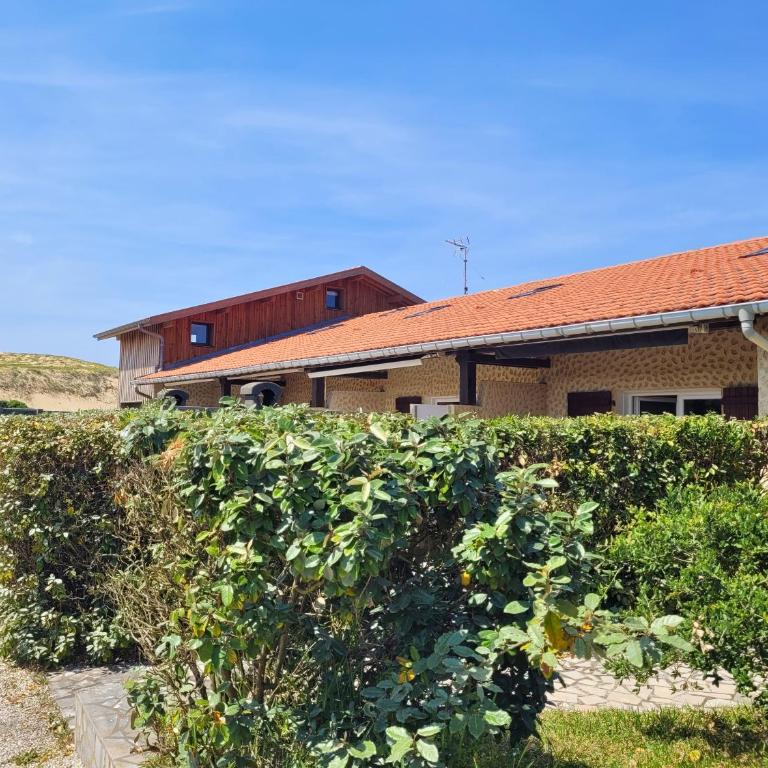 DUNES - Villa Patio Avec Jardin - proche Plage de la Gravière - Maison 3 Chambres - 1