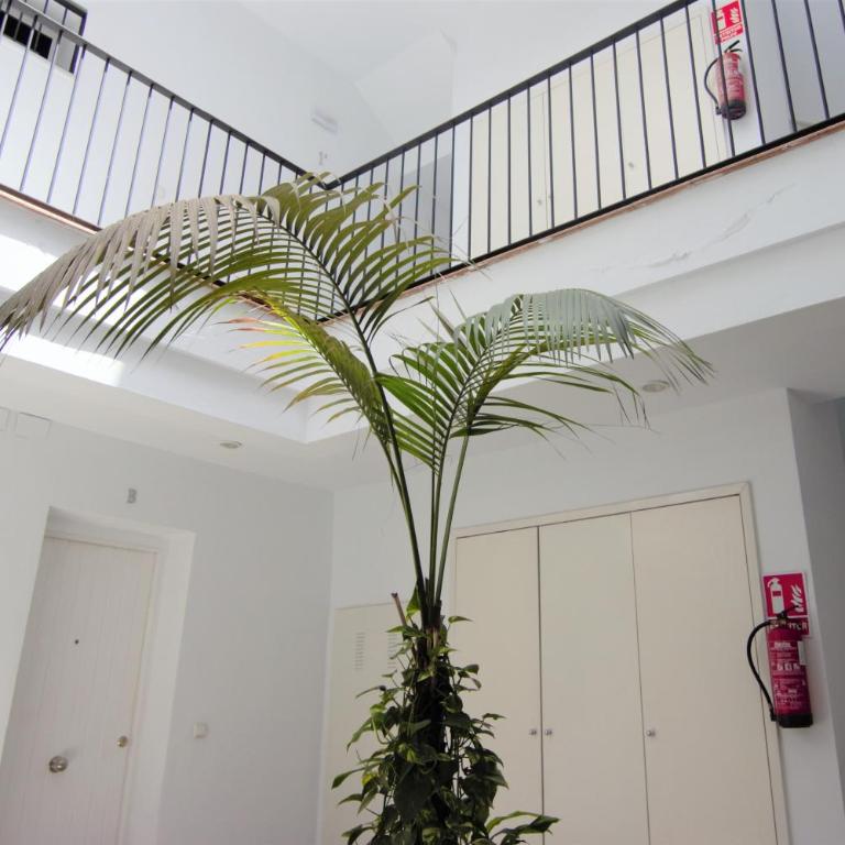 RentalSevilla El rincón de la Alameda de Hércules - Apartamento de 1 dormitorio - 23