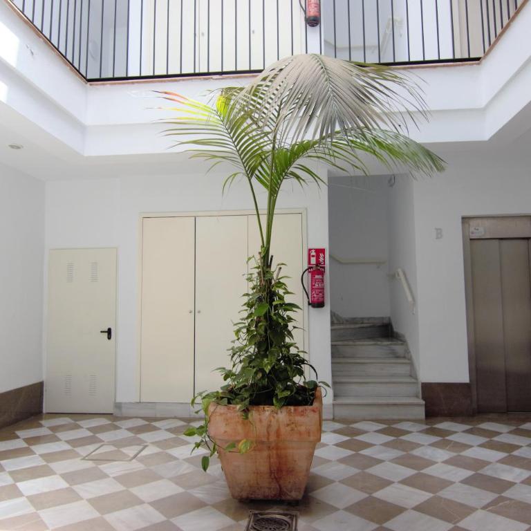 RentalSevilla El rincón de la Alameda de Hércules - Apartamento de 1 dormitorio - 22