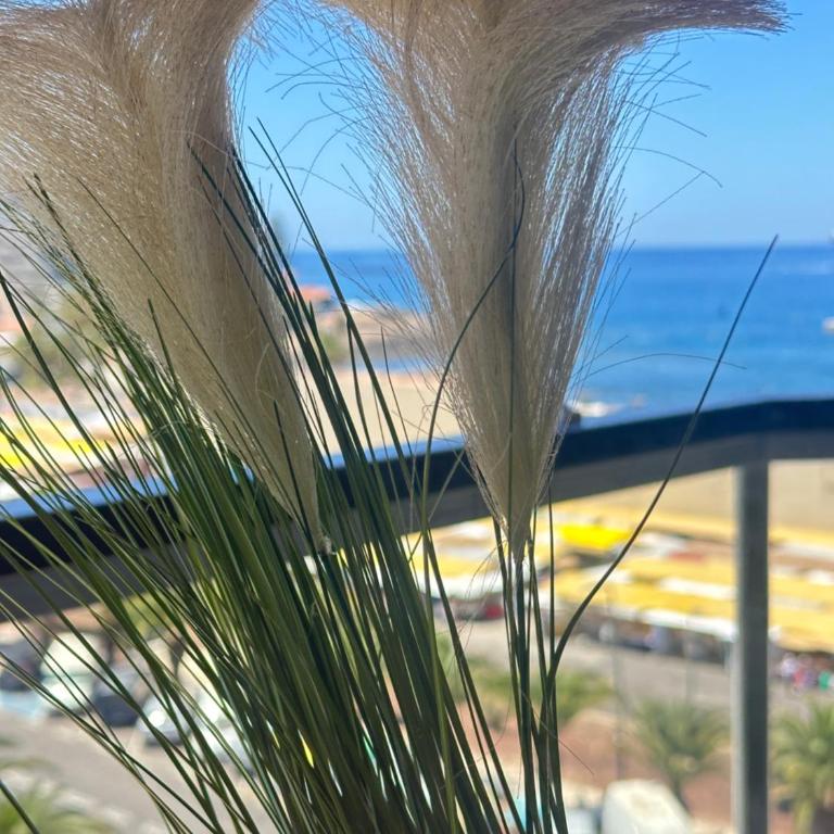 Boutique Penthouse Sea View - Apartamento - 38