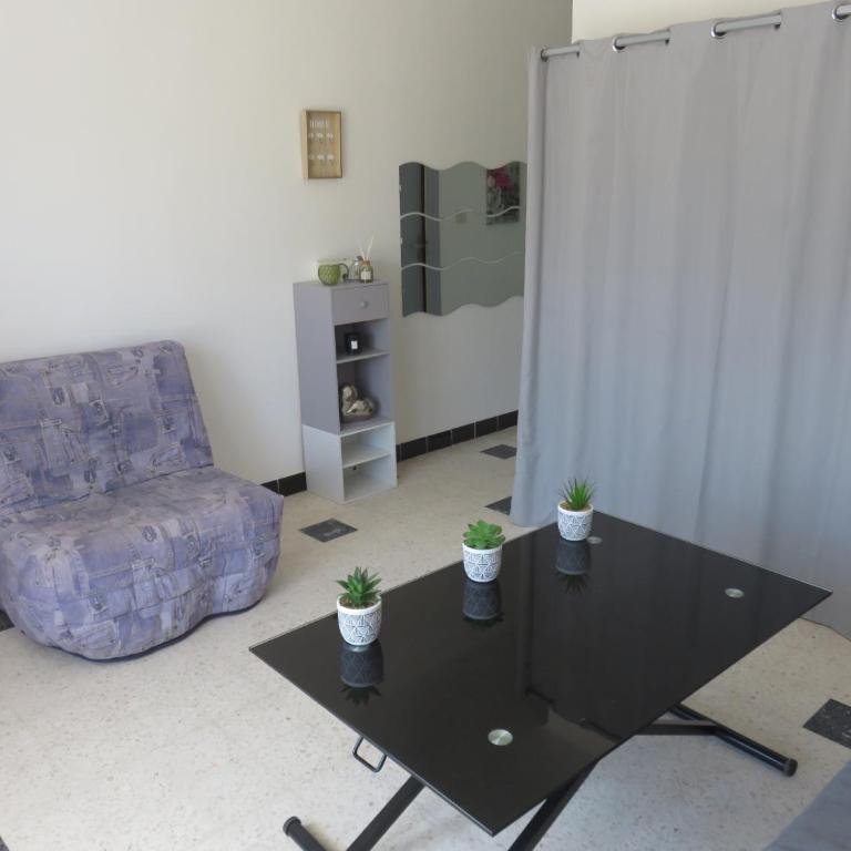 Studio bord de mer avec terrasse et parking - Le Géranium - Appartement 1 Chambre - 15