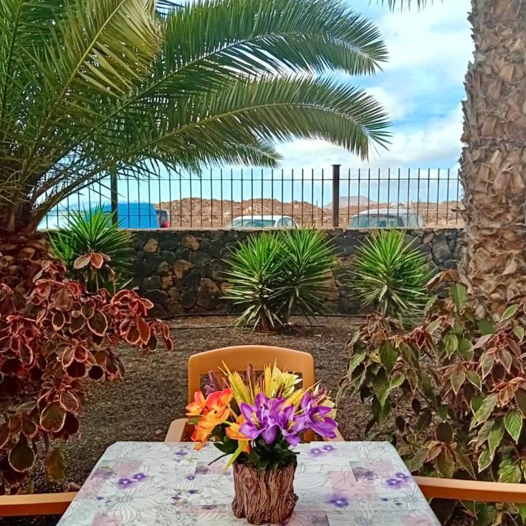 Fuerteventura Apartments Corralejo - Deluxe One-Bedroom Apartment with Garden View - 11