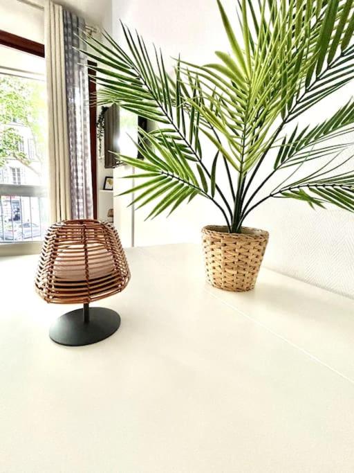Studio Lumineux avec Terrasse - Appartement 1 Chambre - 6