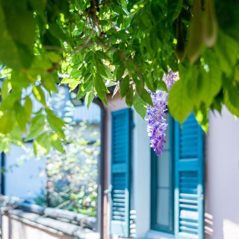 Seven Boutique Hotel - Camera Singola - 4