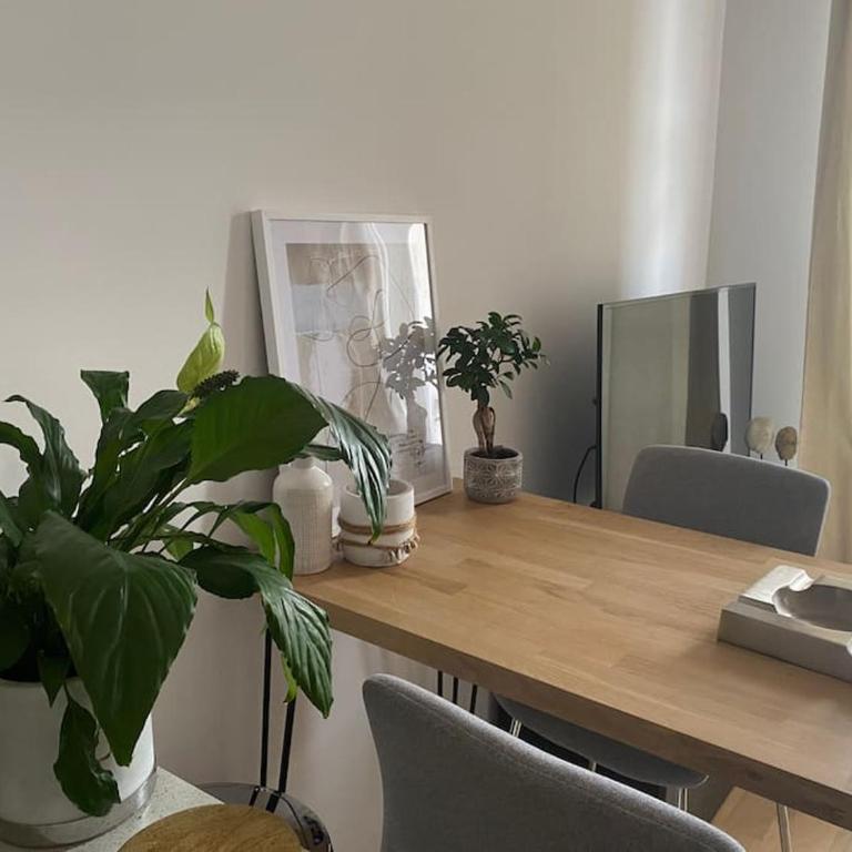 Cannes banane, T2 centre ville, 400 m des plages - Apartment mit 1 Schlafzimmer - 13