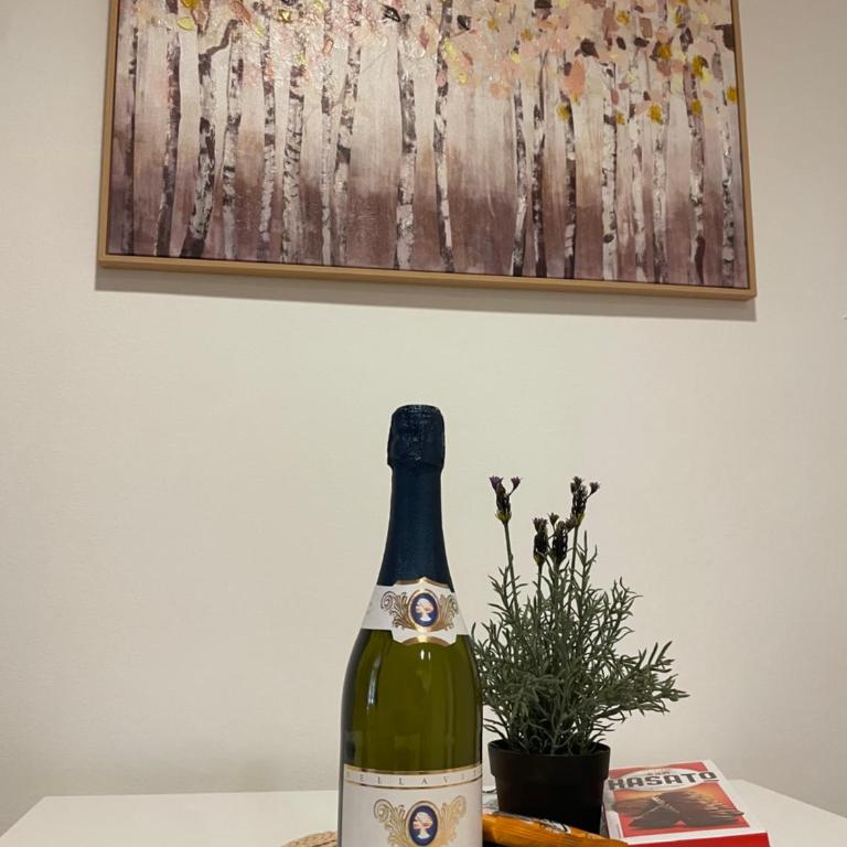 Oaza - Apartman sa 1 Spavaćom Sobom - 8