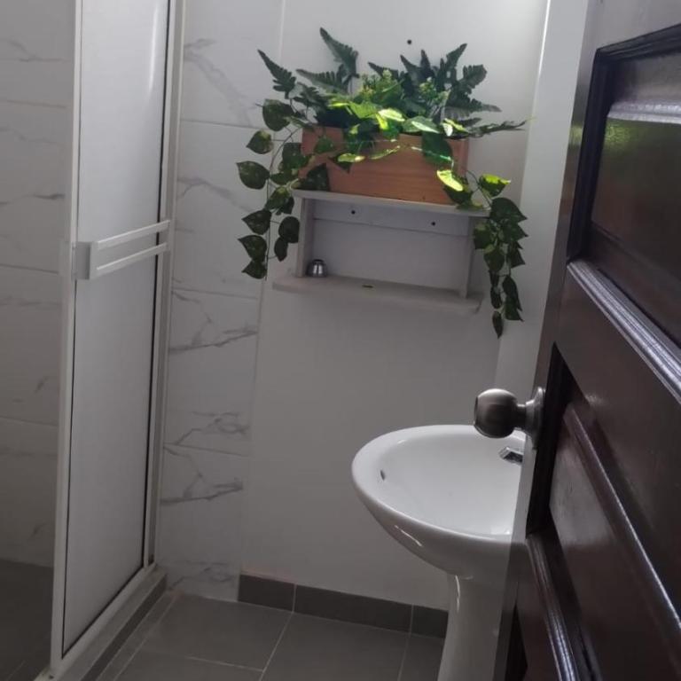 mayita 84 - Apartamento - 3