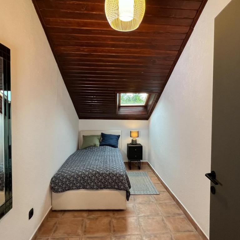 Villa Concordia - Vila sa Sopstvenim Bazenom - 18