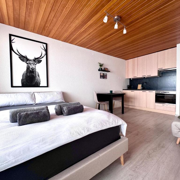 Studio mit See- und Bergblick - Apartment mit 1 Schlafzimmer - 1