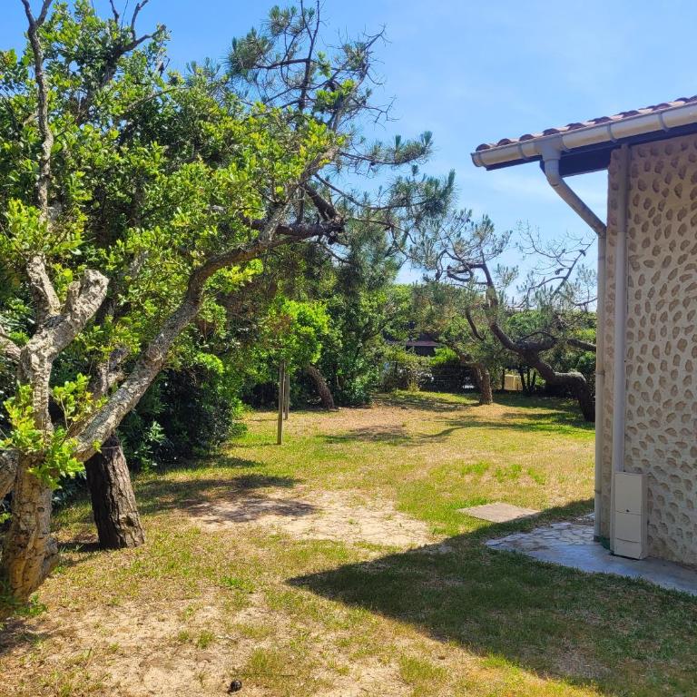 DUNES - Villa Patio Avec Jardin - proche Plage de la Gravière - Maison 3 Chambres - 4