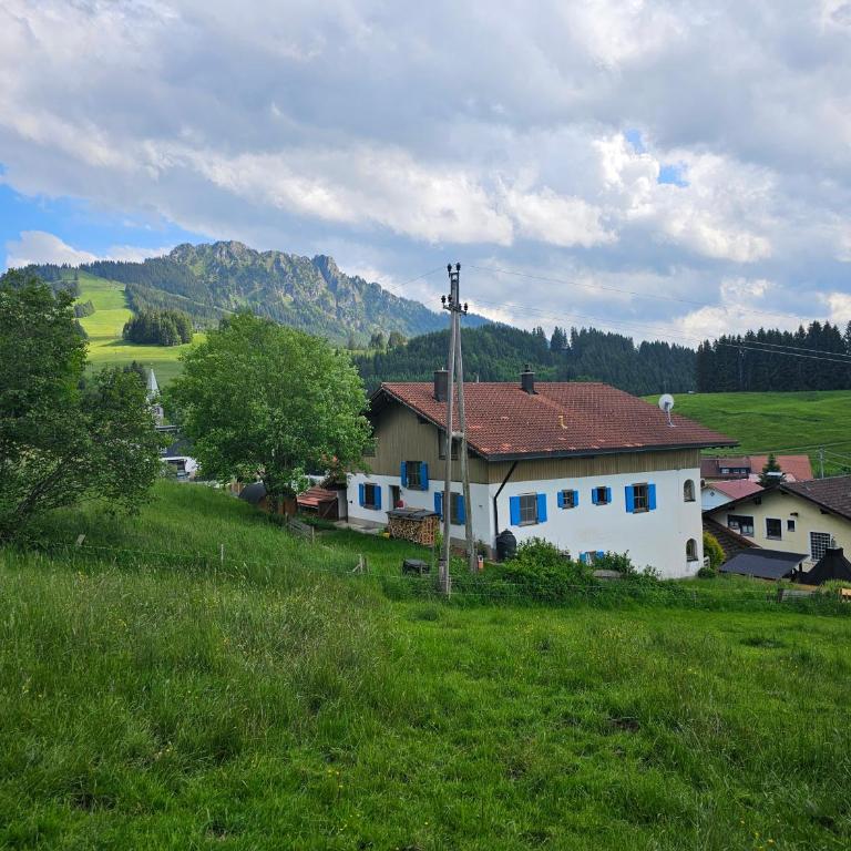 Jungholz Erlebnis - Apartment mit Terrasse - 17