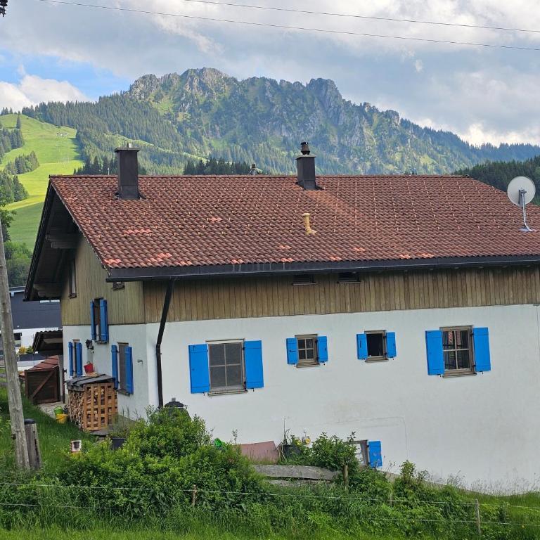 Jungholz Erlebnis - Apartment mit Terrasse - 22
