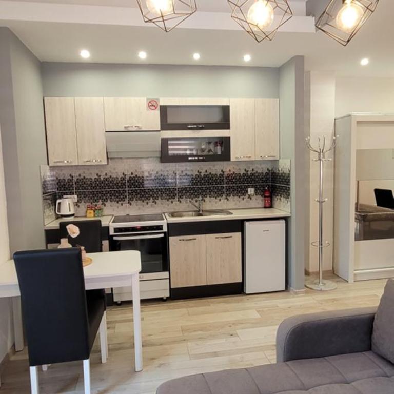 Oz Lux Apartments - One-Bedroom Apartment - 18
