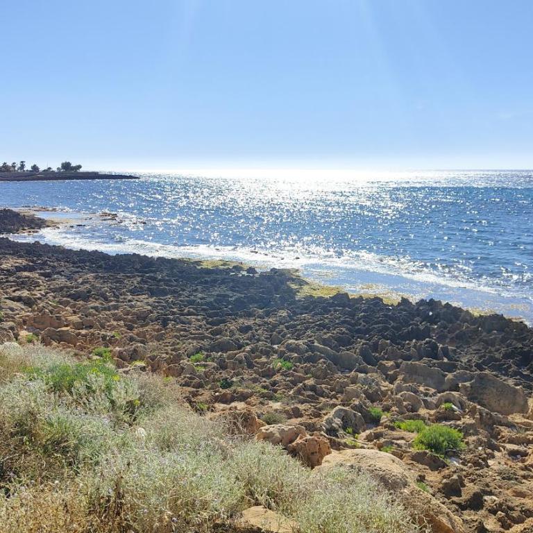 Sicilia bedda - Casa Vacanze - 85