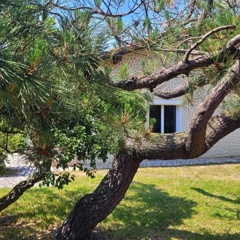 DUNES - Villa Patio Avec Jardin - proche Plage de la Gravière - Maison 3 Chambres - 34