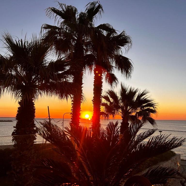 Il San Carlo - Girasole - Villa Fronte Spiaggia - 34