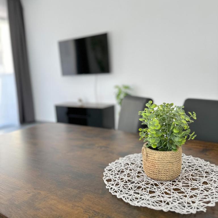 Grazora Living Apartments - Suite mit Balkon - 5