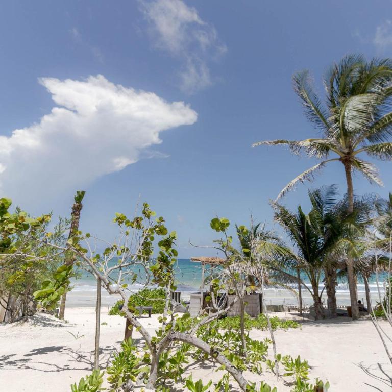 Suites Panamera - Suite Junior frente al océano - 10