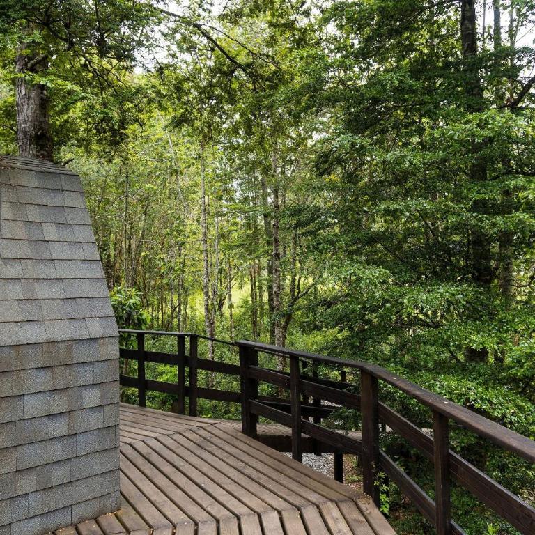 Hermoso domo en altura entre el bosque nativo + tinaja privada - Apartment - 9